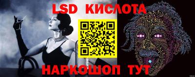 молекула духа Пугачёв