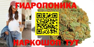 молекула духа Пугачёв