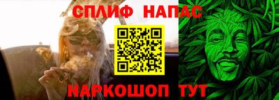 молекула духа Пугачёв
