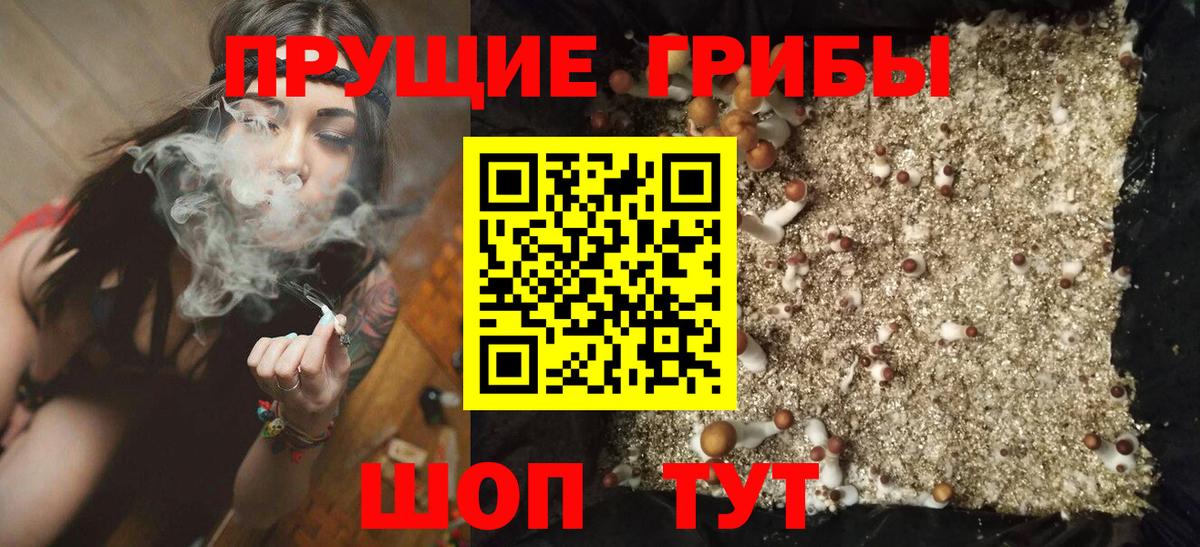 Галлюциногенные грибы GOLDEN TEACHER Первоуральск